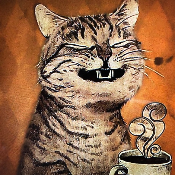 cat2knight